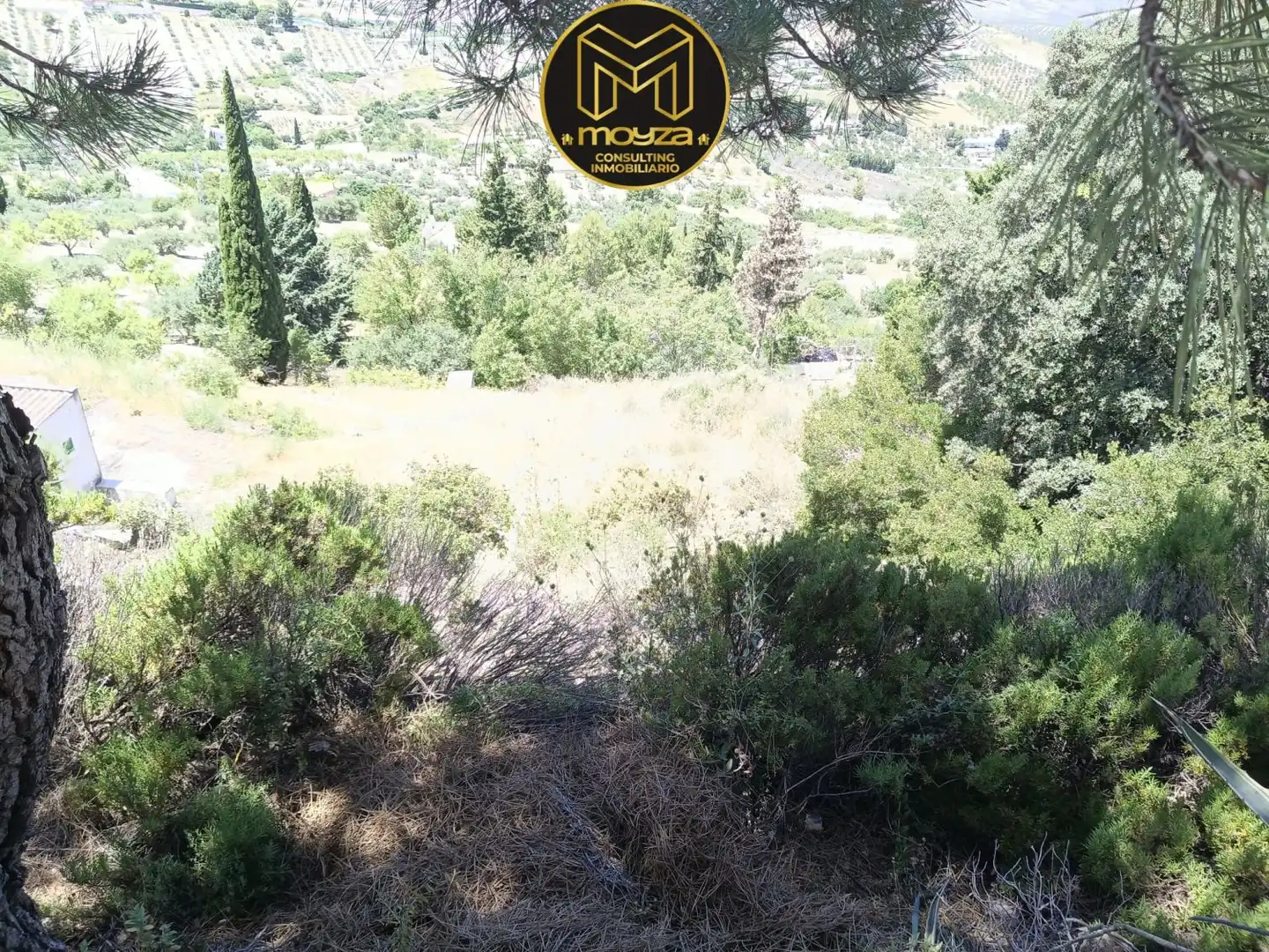 Casa rústica en venda a Torredelcampo, imagen 13