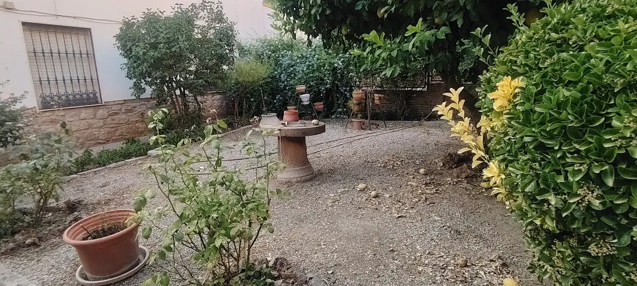 House with garden for sale in Calle Doctor 14
