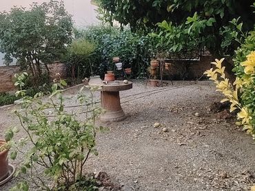 Casa con giardino in vendita a Calle Doctor 14