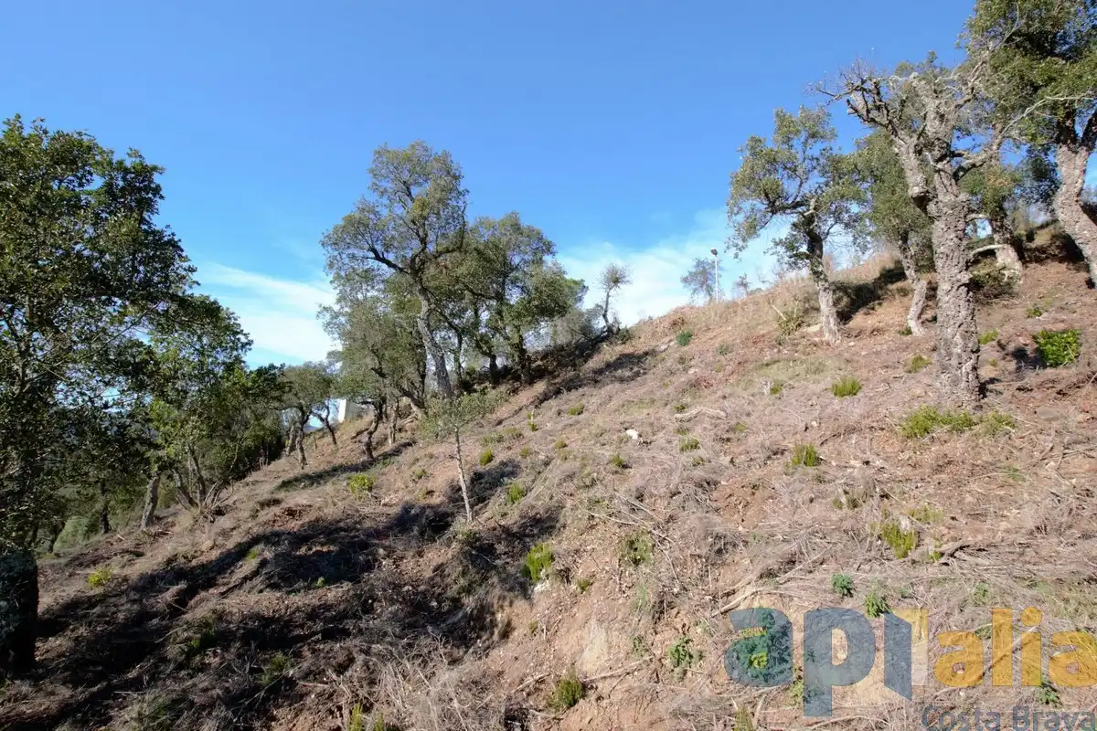 Terreny residencial en venda a Carrer Avet 23, imagen 5