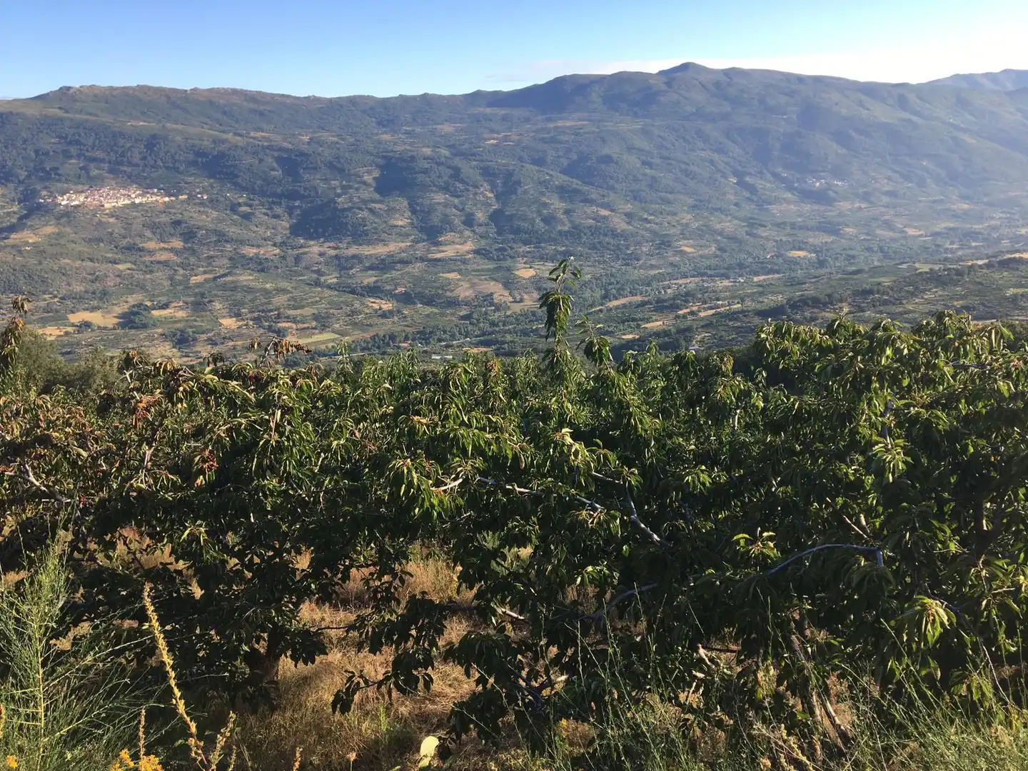 Terreni e lotti in vendita a Casas del Castañar, imagen 5