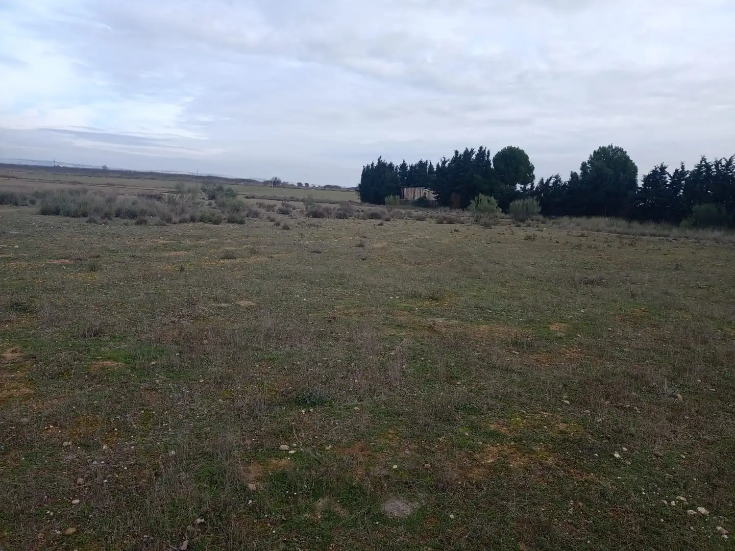 Terreni e lotti in vendita a Barrios rurales del oeste, imagen 3