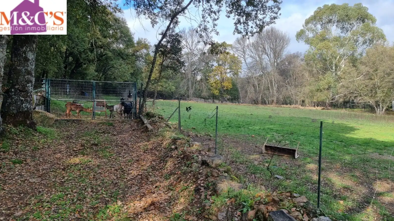 Rural land for sale in Fuencaliente, imagen 62