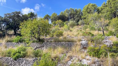 Photo 3 of Apartment to rent in Selva, Illes Balears