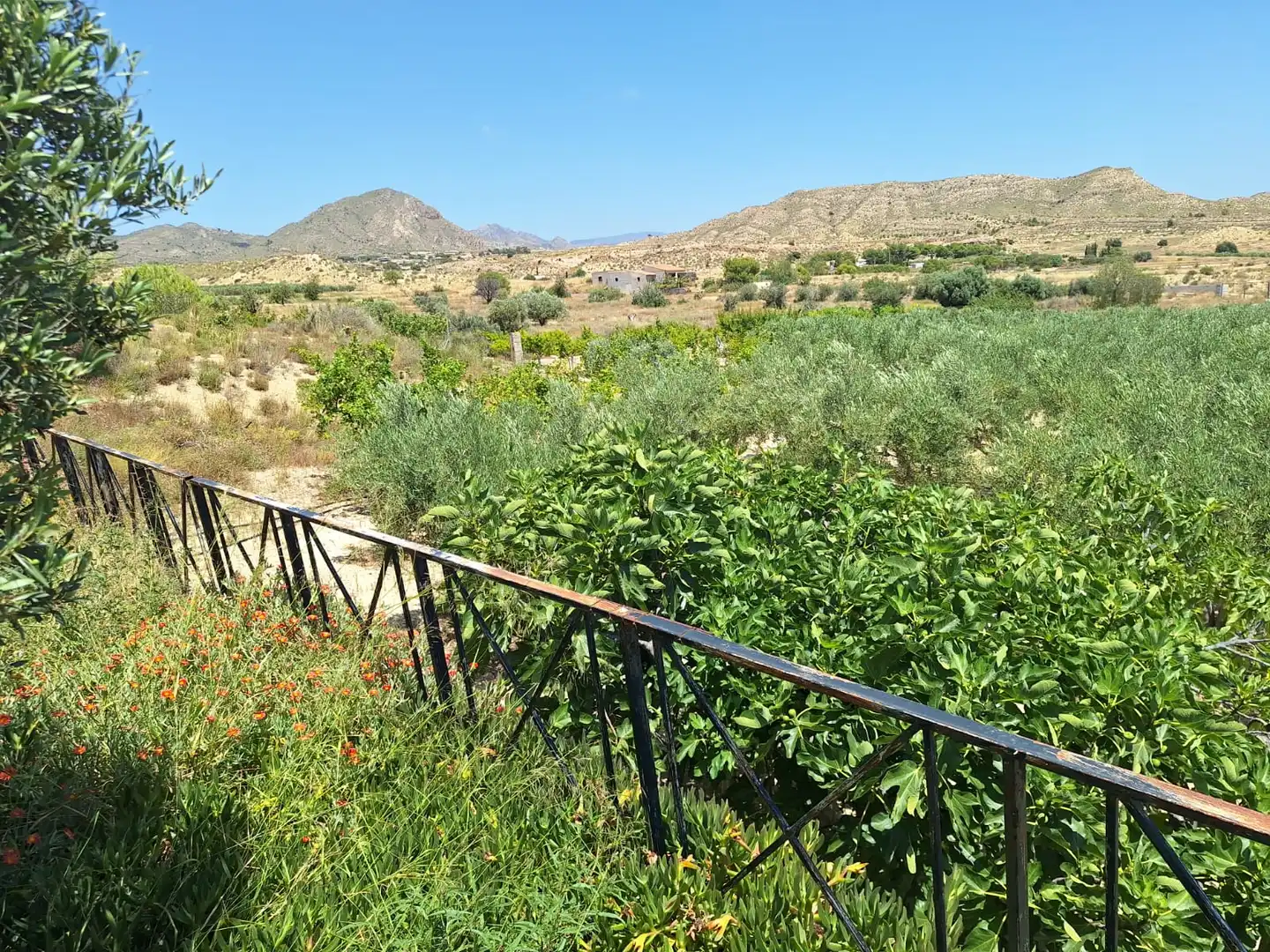 Casa o xalet en venda en Alicante / Alacant amb Jardí privat, Terrassa i Traster