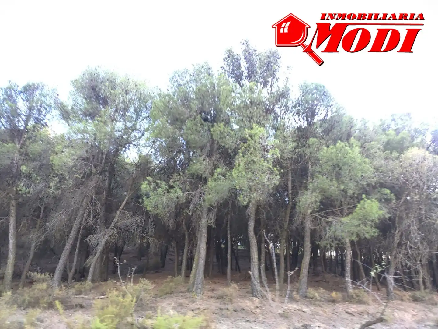 Finca rústica en venda en Villamena amb Jardí privat