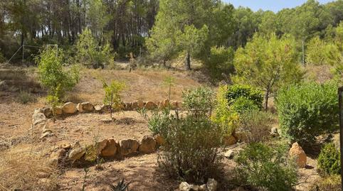 Photo 5 of House or chalet for sale in N/a, -1, Bullas, Murcia