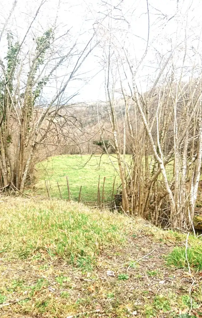Residential land for sale in San Sebastián de Garabandal - SAN SEBASTIAN DE GARABANDAL 311/312, imagen 4