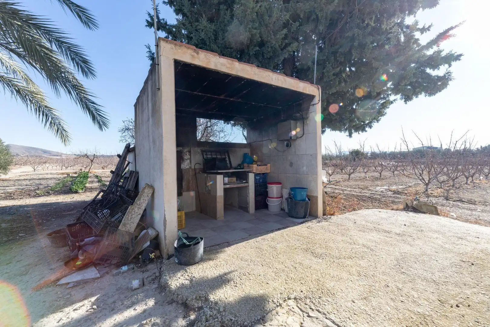 Rustikales Grundstück zum Verkauf in Cieza, imagen 31