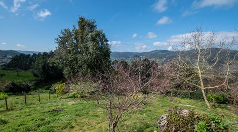 Foto 5 de Casa adosada en venta en Selorio - Tornón, Villaviciosa