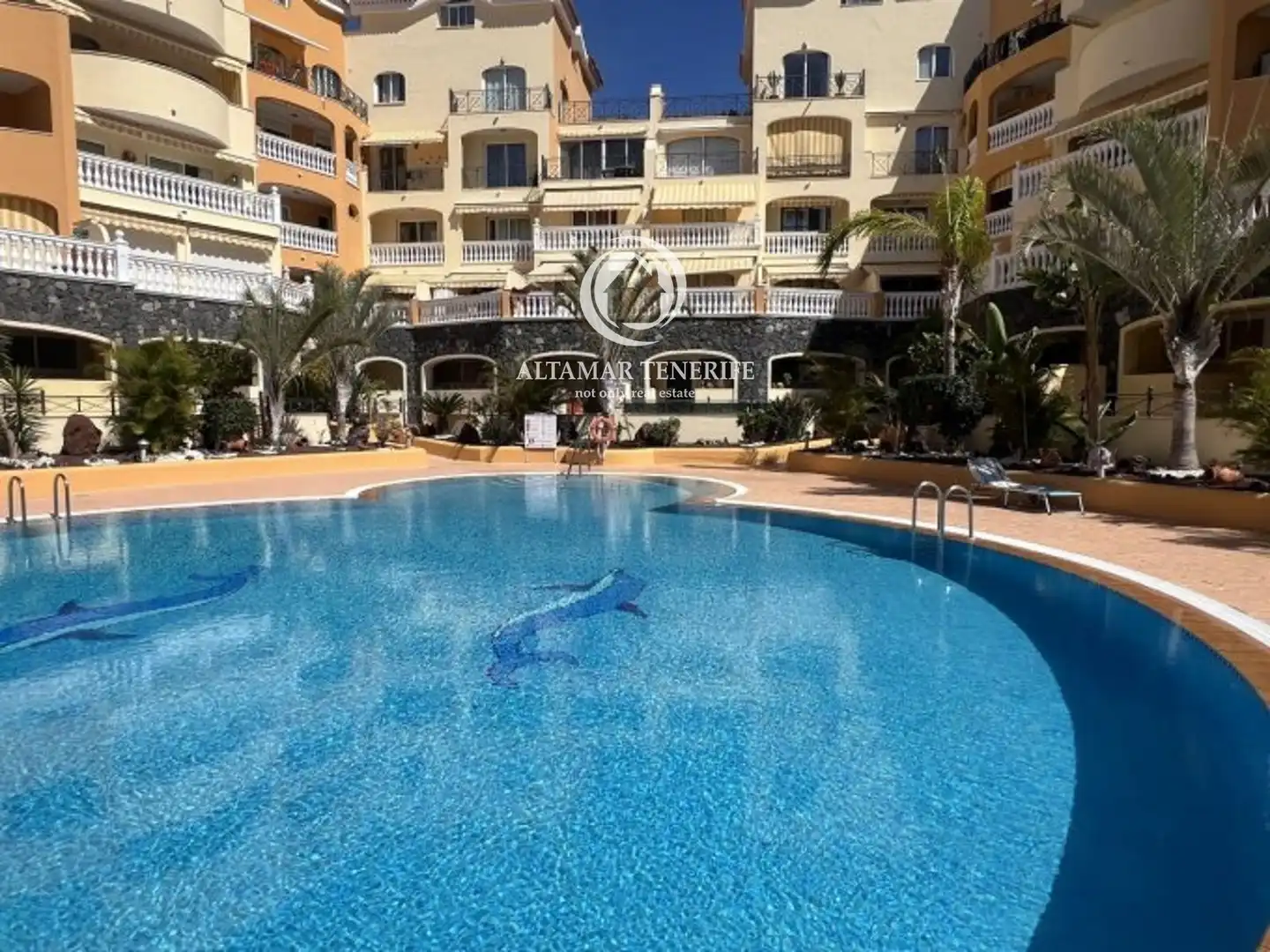 Piscina de Apartamento de alquiler en Arona con Terraza, Piscina y Amueblado
