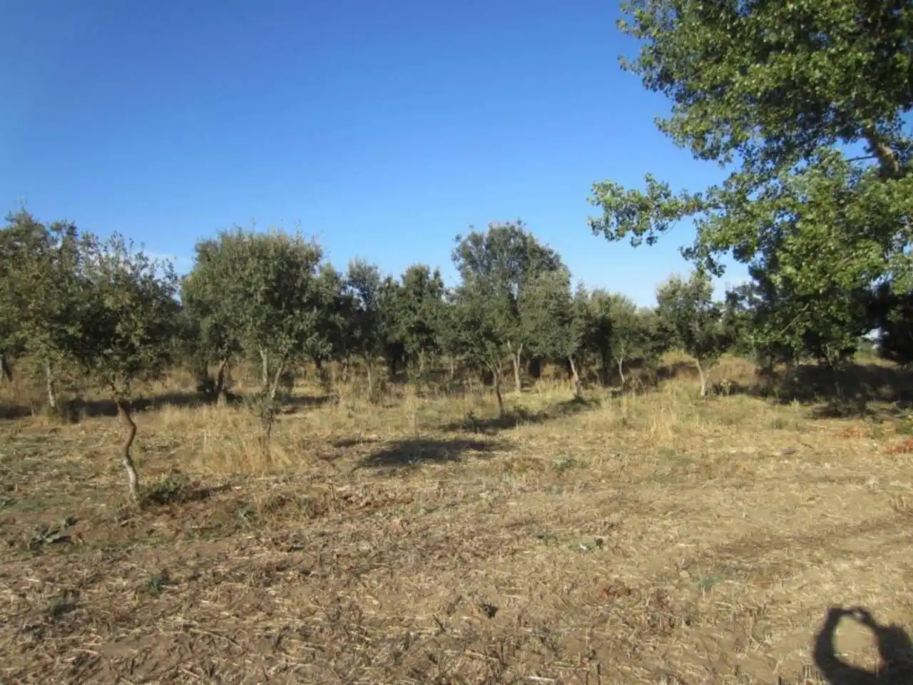 Terreno residencial en venta en Poligono 14, imagen 10