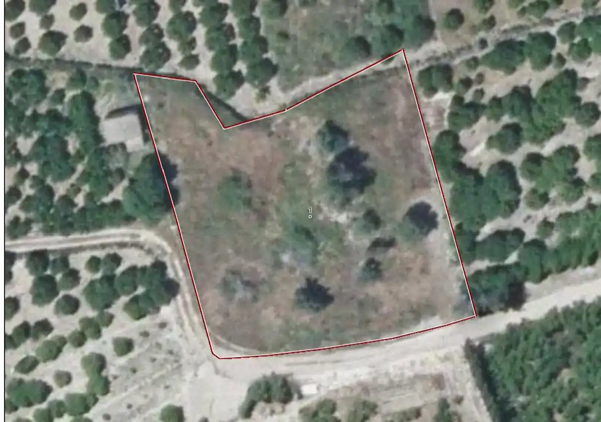 Land for sale in Almiserà