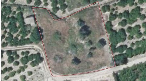 Terreno Agricola en Almiserat, image 4