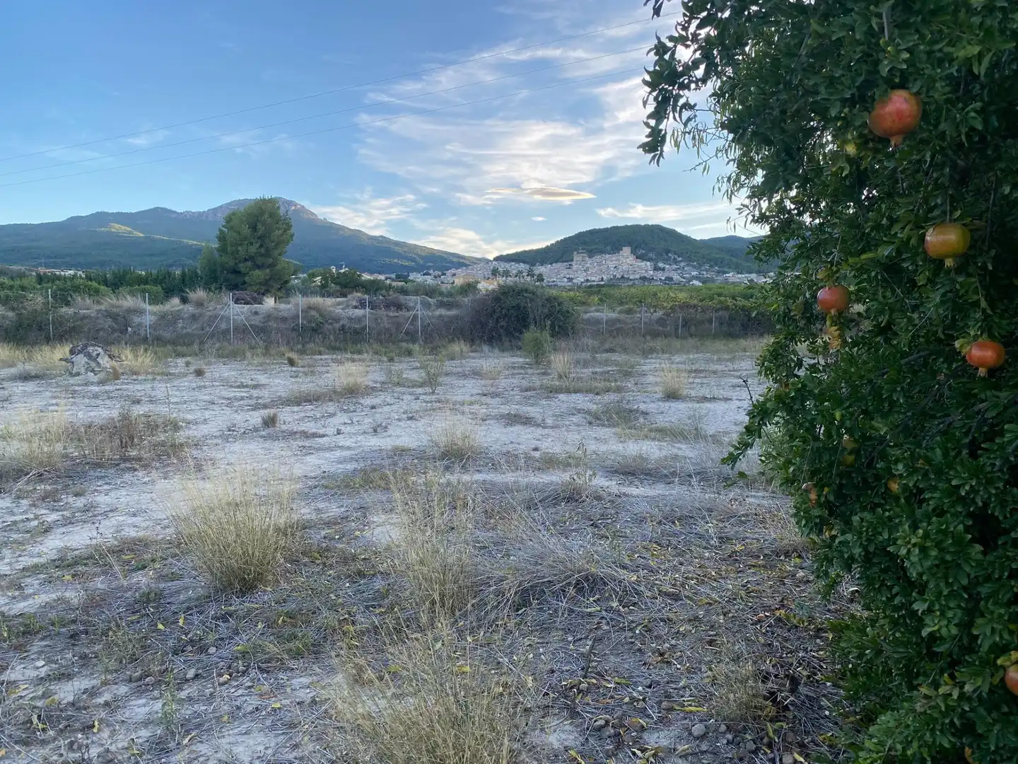Terreno residenziale in vendita a Moratalla, imagen 24