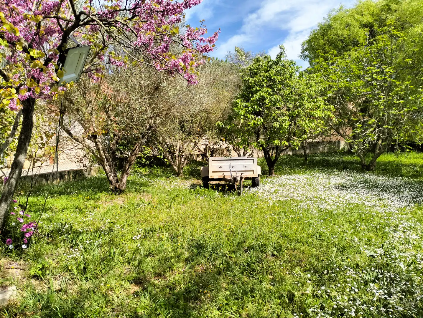 Jardín de Residencial en venta en Vilanant