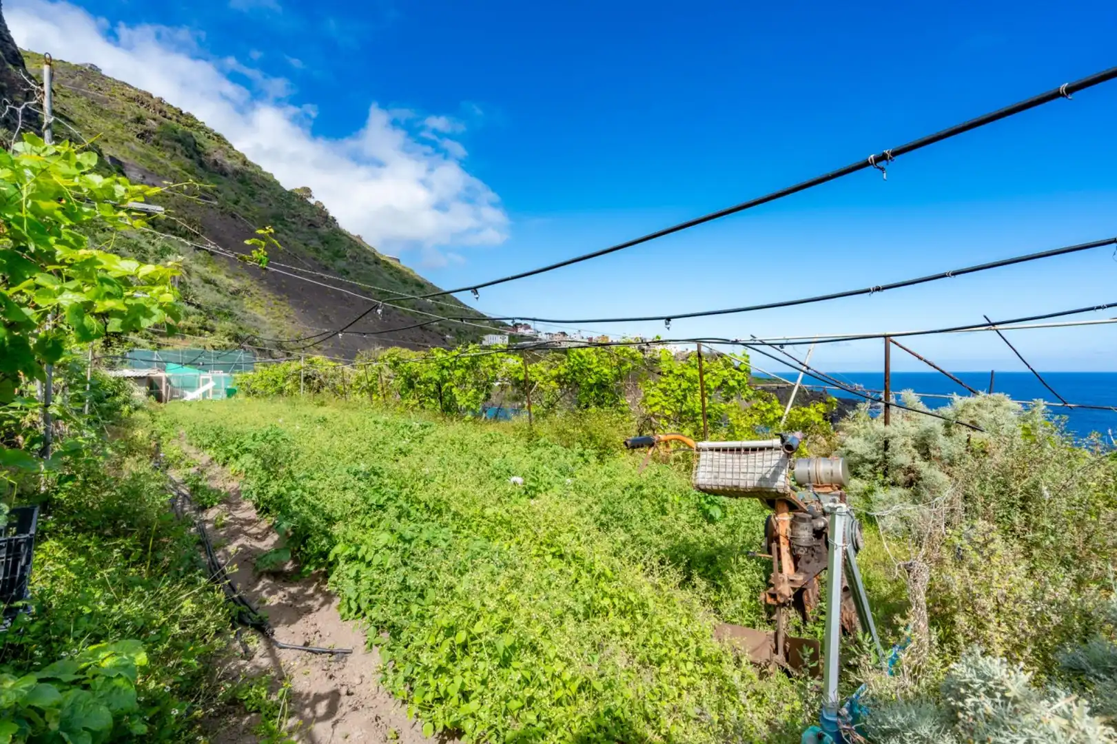 Außenansicht von Residential zum Verkauf in Garachico