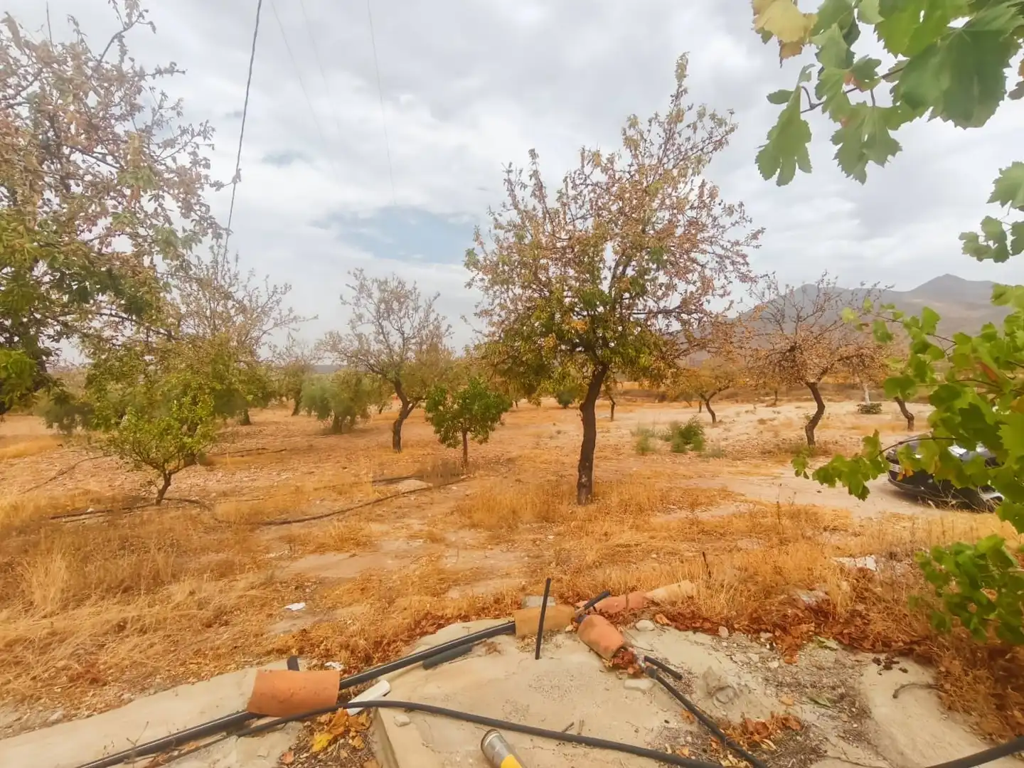 Rustikales Grundstück zum Verkauf in Uleila del Campo, imagen 15