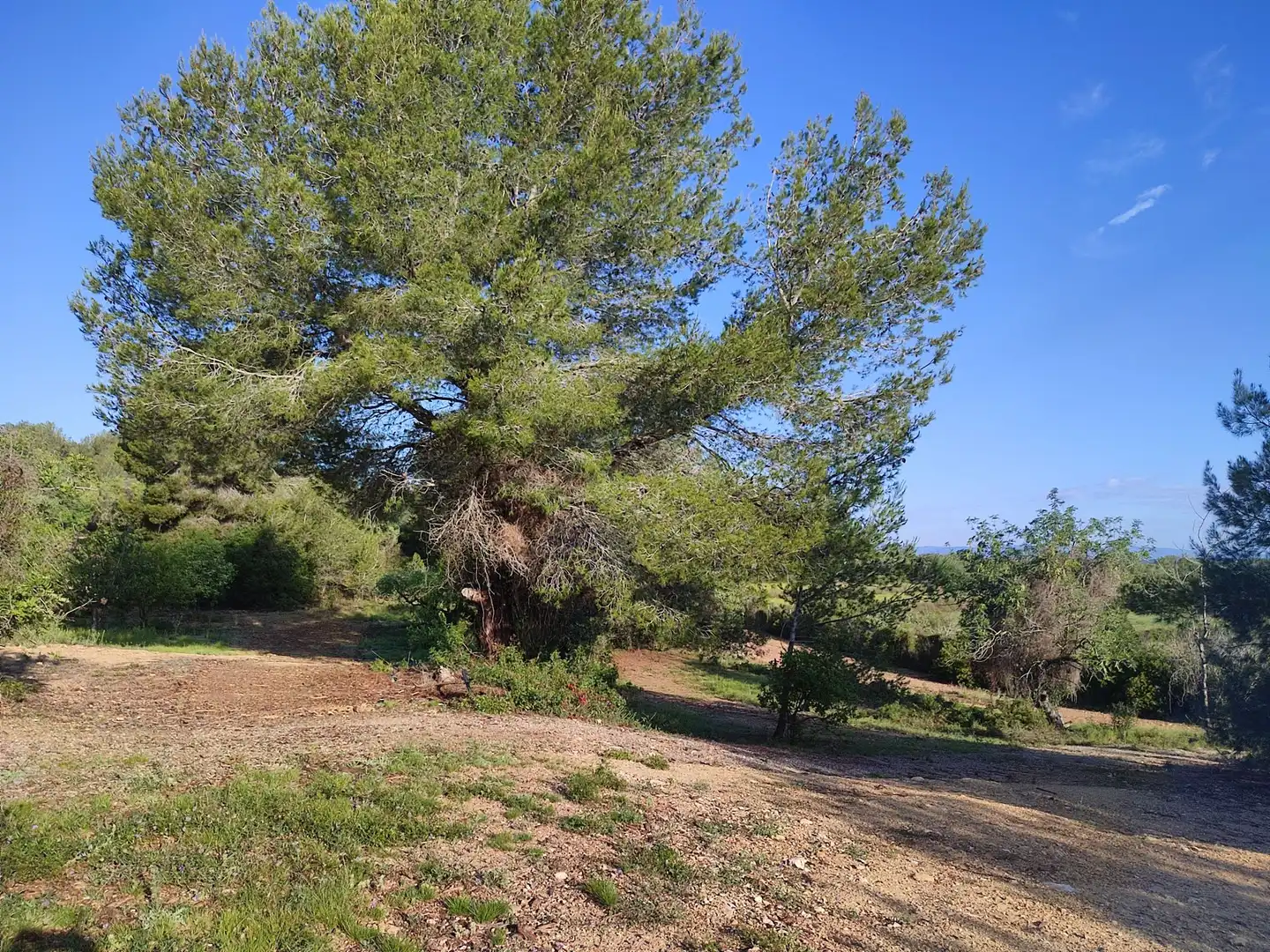 Finca rústica en venta en La Riera de Gaià con Trastero