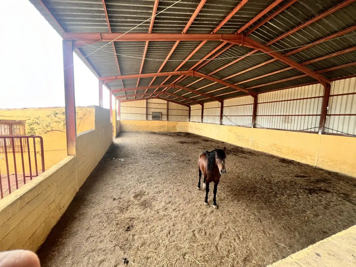 Country homes for rent in Huércal-Overa