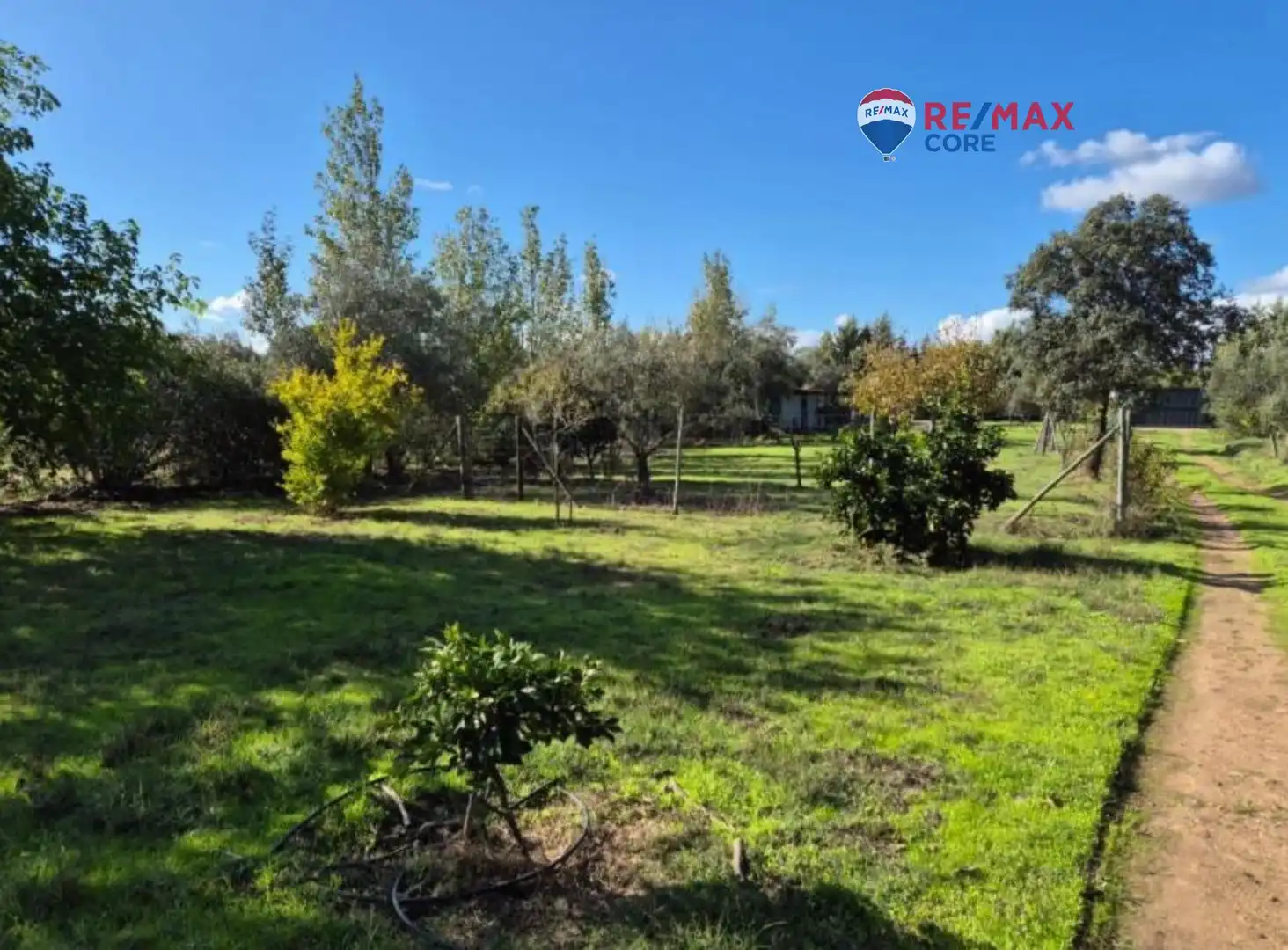 Casa amb jardí en venda a Avenida Elvas, imagen 31