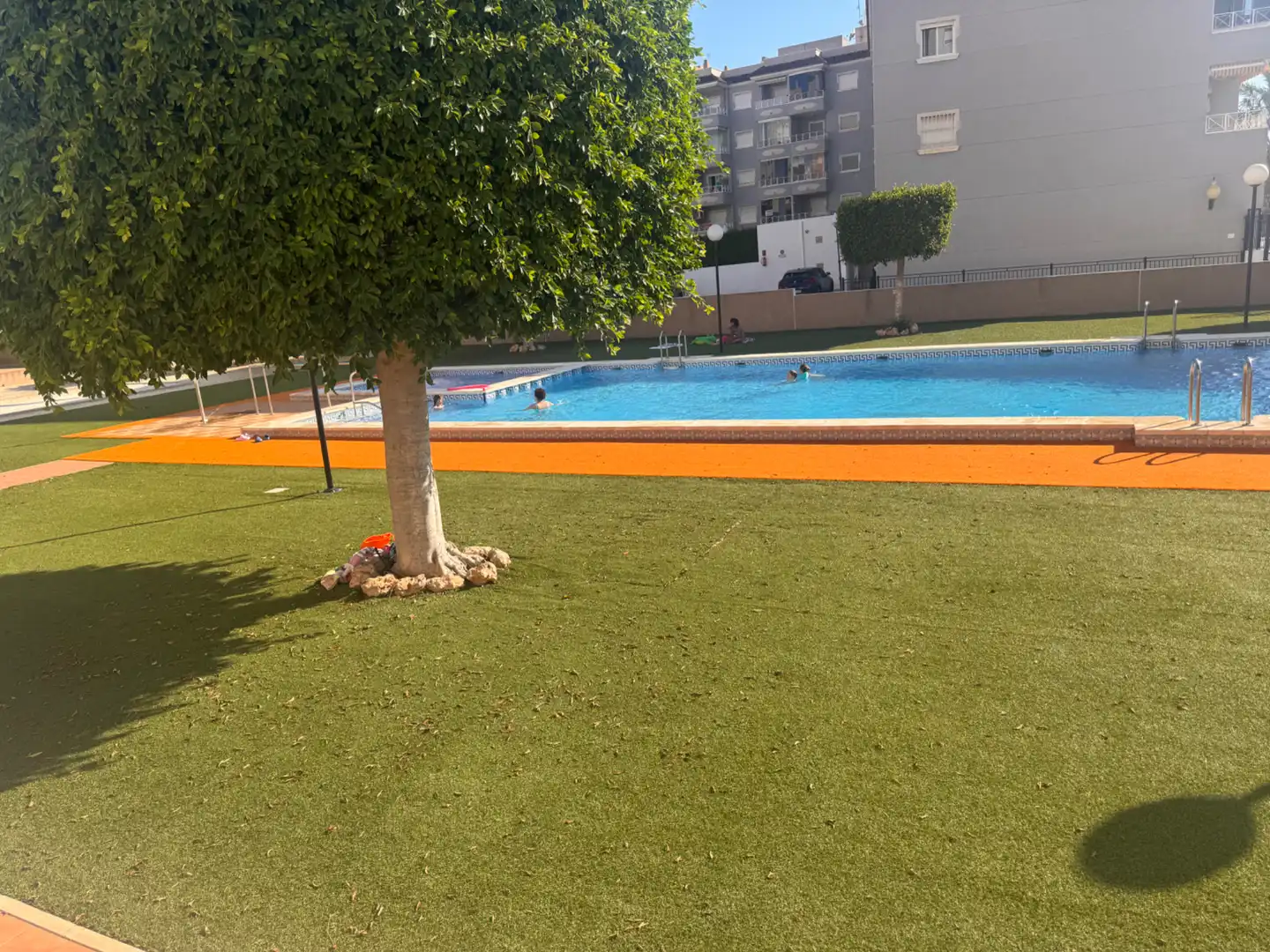 Piscina de Piso de alquiler en Guardamar del Segura con Aire acondicionado, Calefacción y Terraza