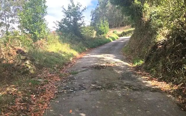 Terreno rustico in vendita a Camino DE LOS CIERROS-CALDONES, imagen 26