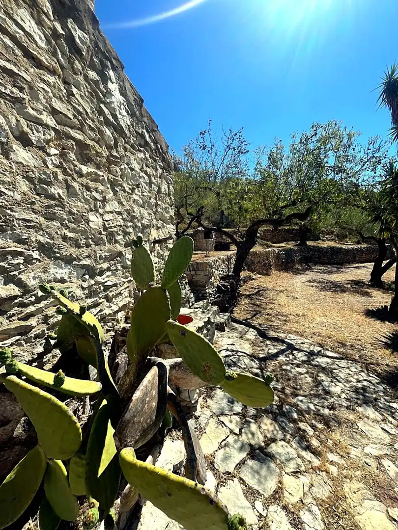 Maison rustique à vendre à El Perelló, imagen 7