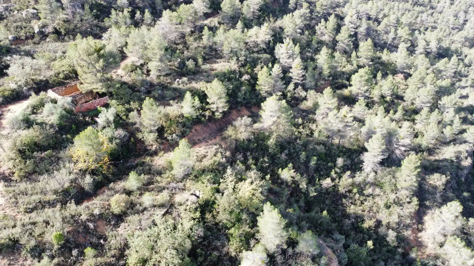 Terreno rustico in vendita a Cervià de Les Garrigues, imagen 3