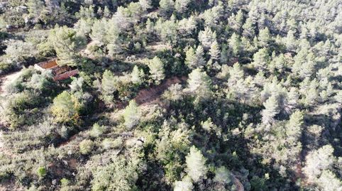 Terreno en venta en Tapiades, imagen 3