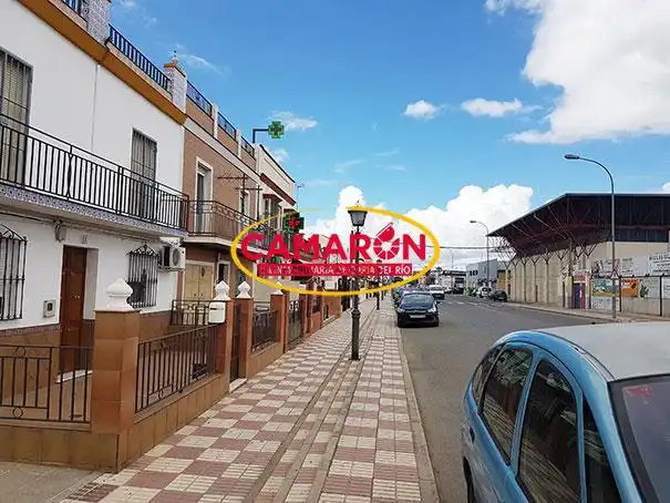 Terreni e lotti in vendita a La Puebla del Río, imagen 2