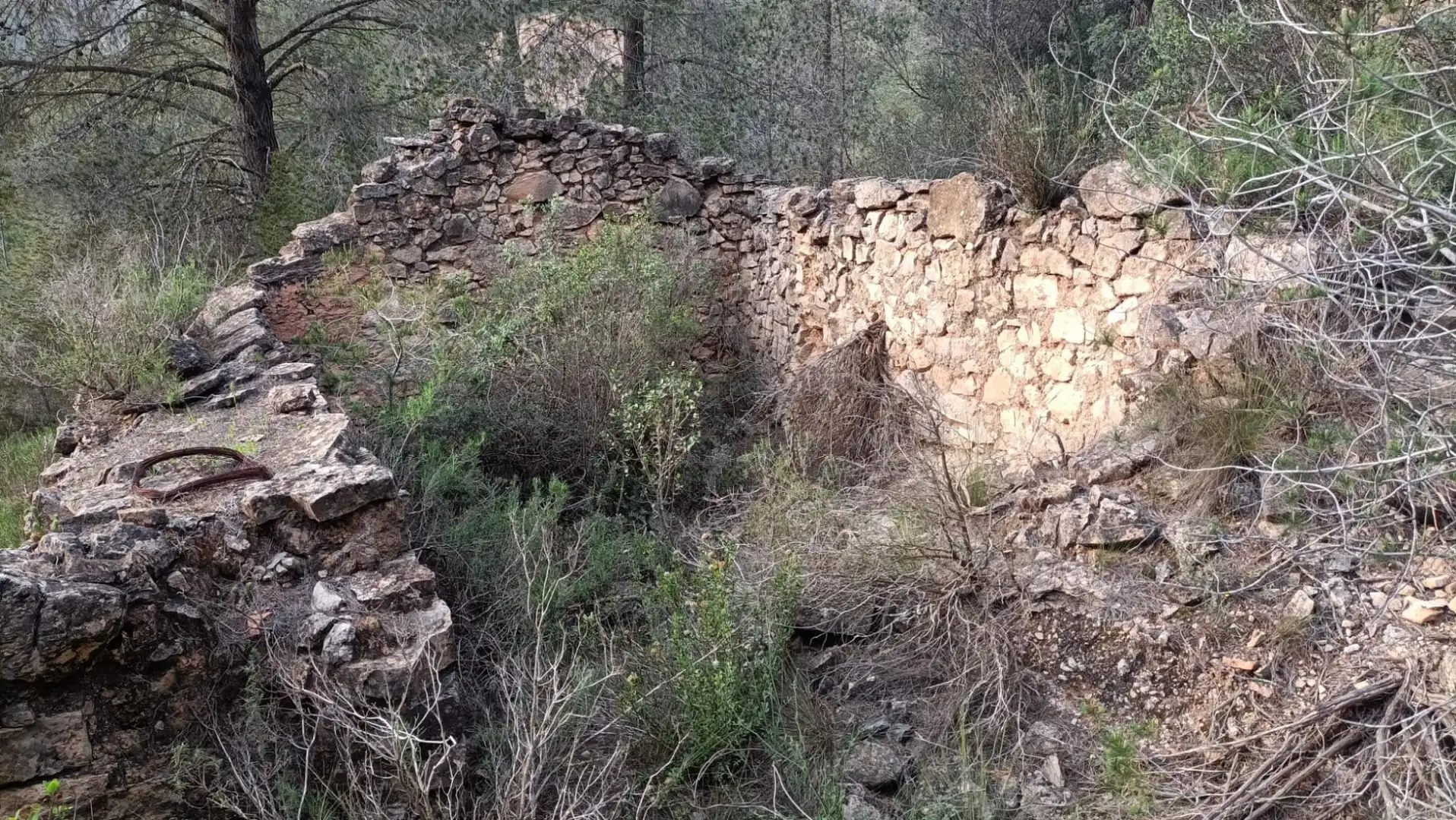 Terreno rustico in vendita a Móra d'Ebre, imagen 2