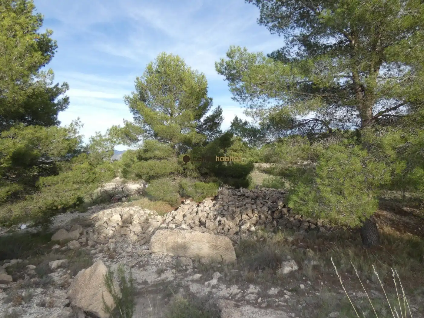 Residential land for sale in Monóvar  / Monòver, imagen 3