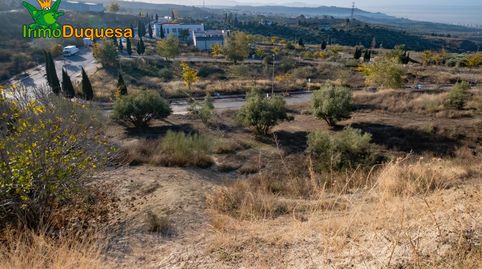 Suelo INDUSTRIAL en Alfacar. Junto autovia A92., immagine 4