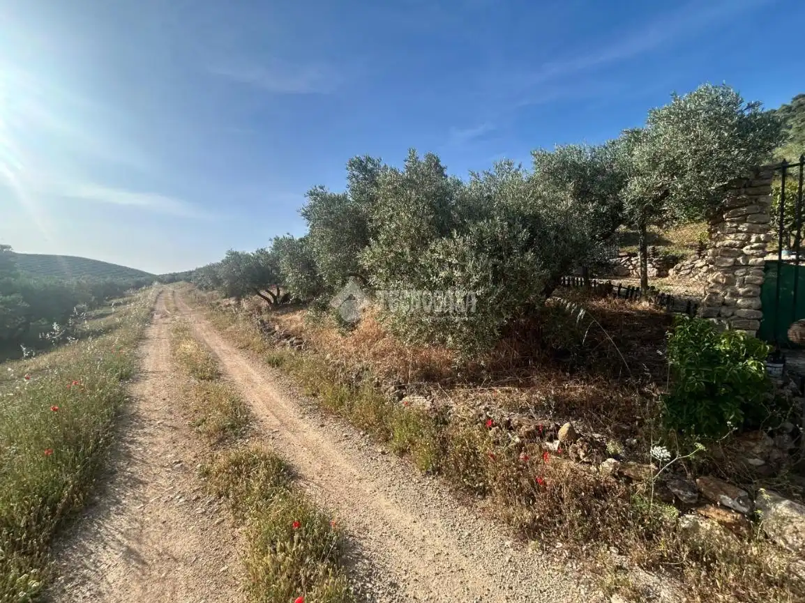 Finca rústica en venta en Antequera
