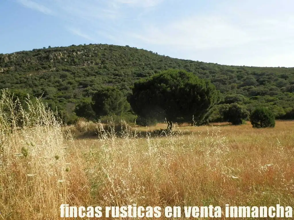 Terreny rústic en venda a Alcolea de Calatrava, imagen 7