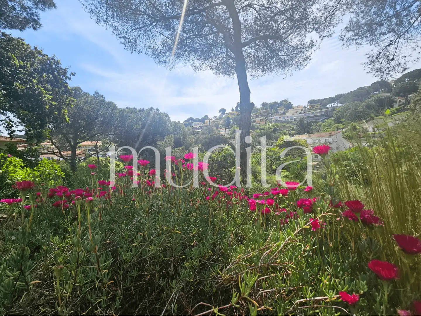 Terreno residencial en venta en Joan Maragall i Gorina, imagen 25