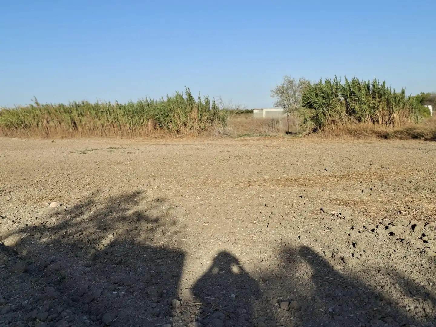 Finca rústica en venda en Chiclana de la Frontera