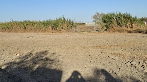 Foto 4 de Finca rústica en venda a Núcleo urbano, Chiclana de la Frontera