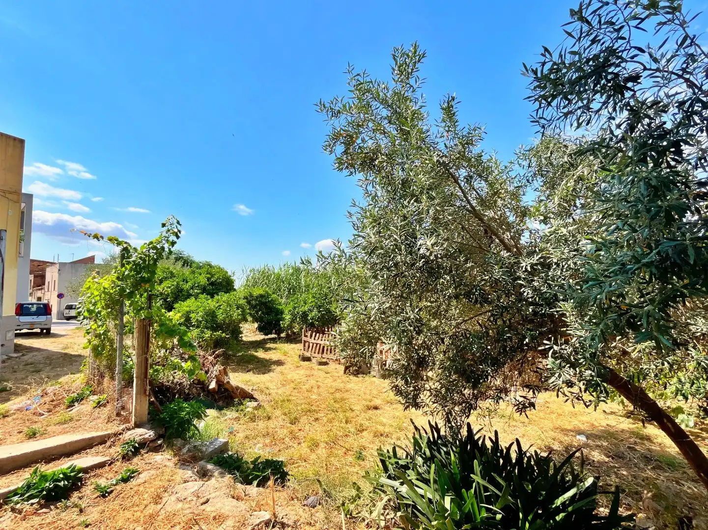 Maison à vendre à Jesús - Els Reguers, imagen 54