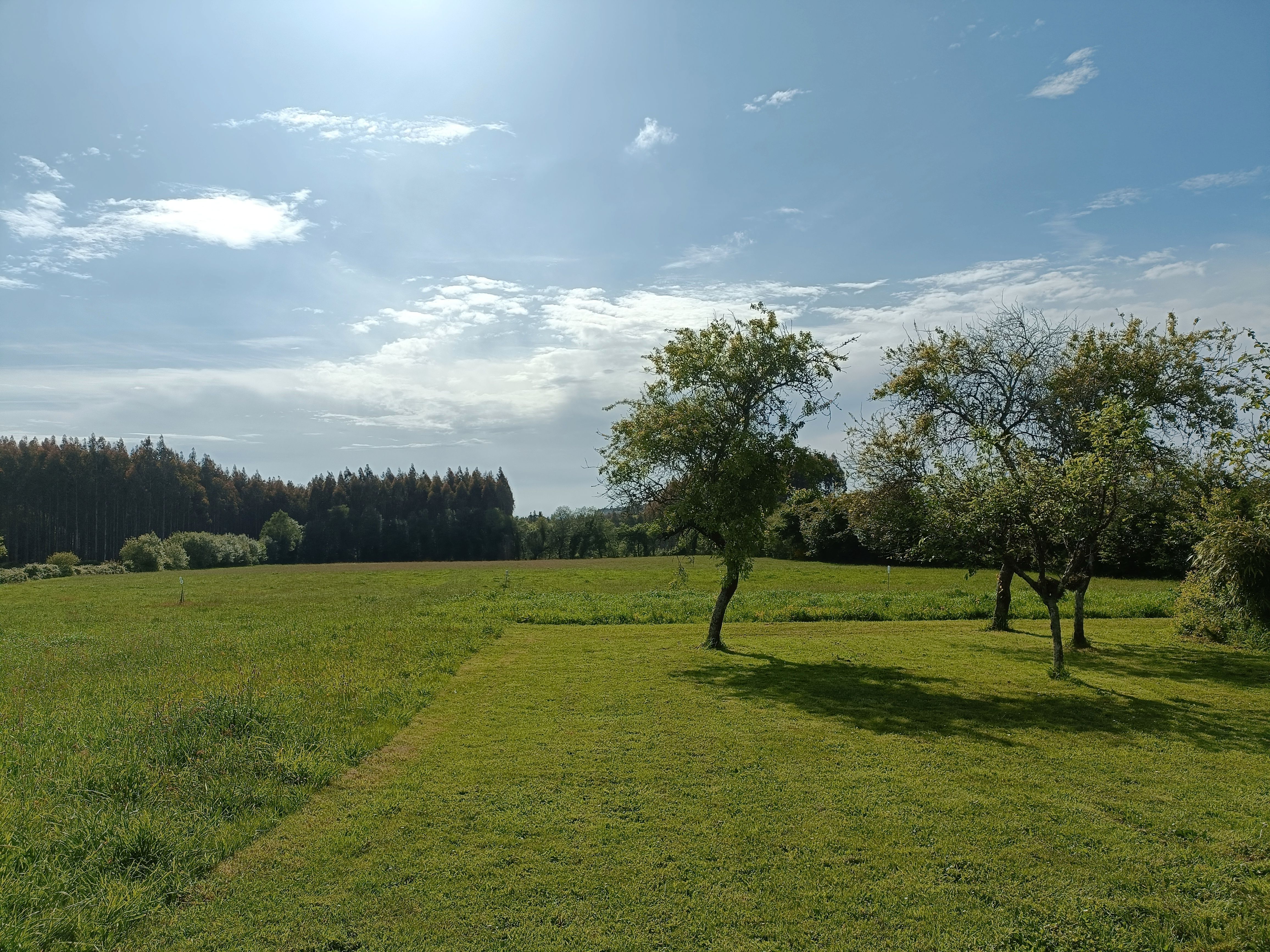 Residencial en venda en Vilasantar