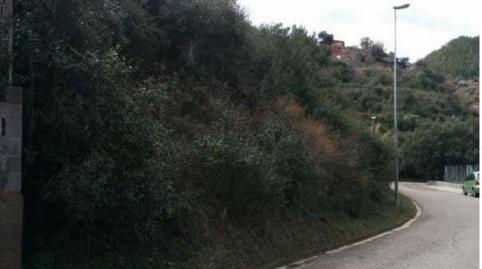 Photo 2 of Residential for sale in Mirador de Montserrat, 81, Can Vinyals, Barcelona