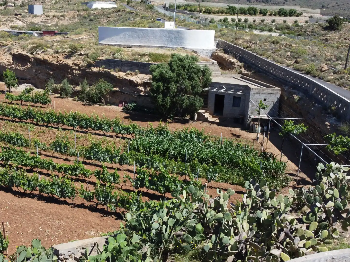 Terreno rustico in vendita a N/A, imagen 12
