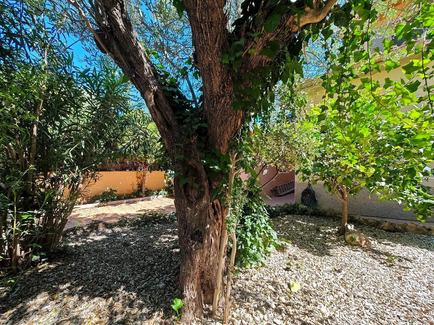 Jardín de Casa o chalet en venta en Collbató con Calefacción, Jardín privado y Piscina
