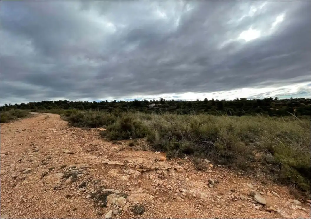 Rustikales Grundstück zum Verkauf in Paraje Casa Nueva o Mirador, imagen 7