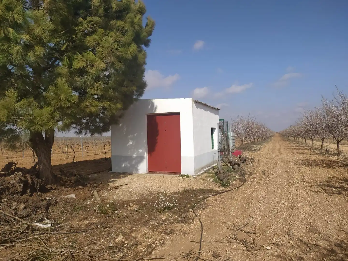Terreno rústico en venta en Travesía Socuéllamos, imagen 24
