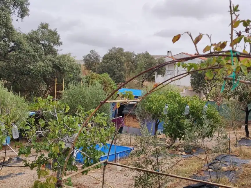Xalet amb jardí en venda a Saucedoso 218A, imagen 4