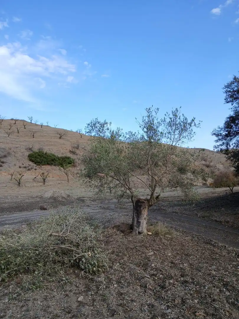 Terrenys i solars en venda a Puerto Lumbreras, imagen 33