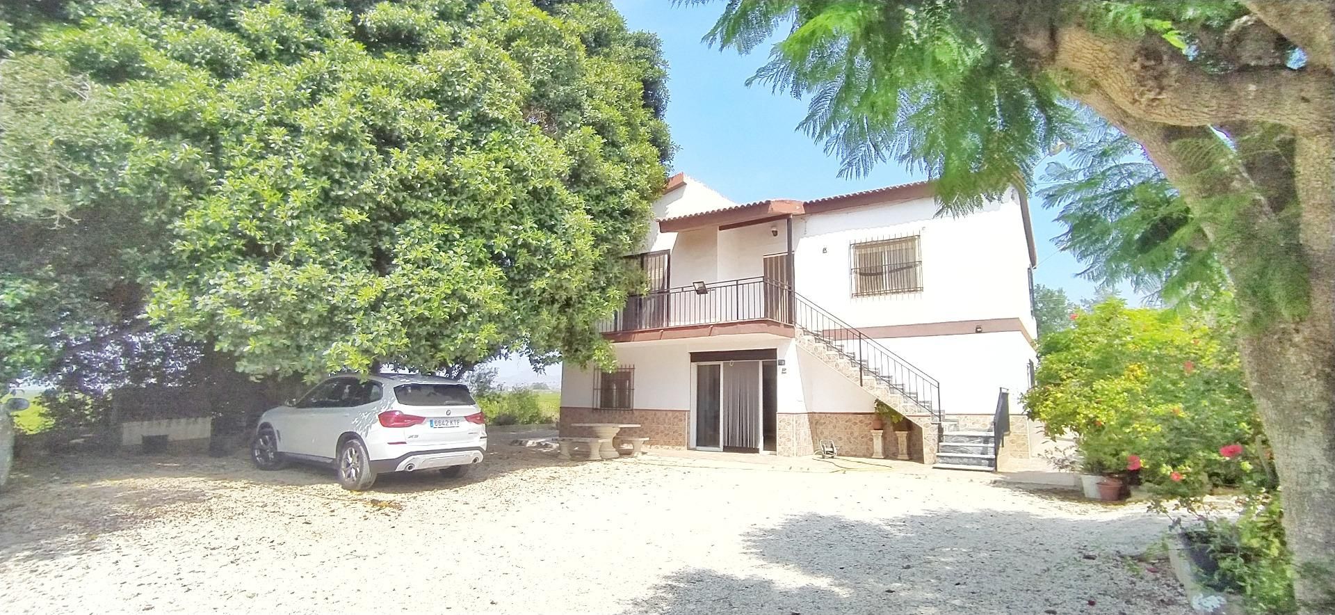 Vista exterior de Casa o xalet en venda en Crevillent amb Jardí privat, Terrassa i Traster