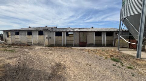 Valderrobres-Granja de cerdos con licencia, immagine 5